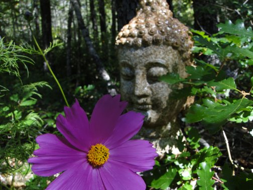 Buddha Peace